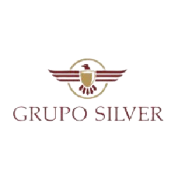 Grupo Silver